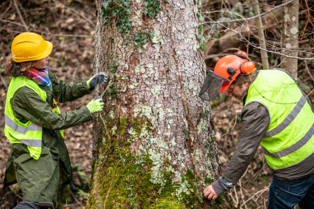 Soil Testing and Treatment in Fayetteville, NC